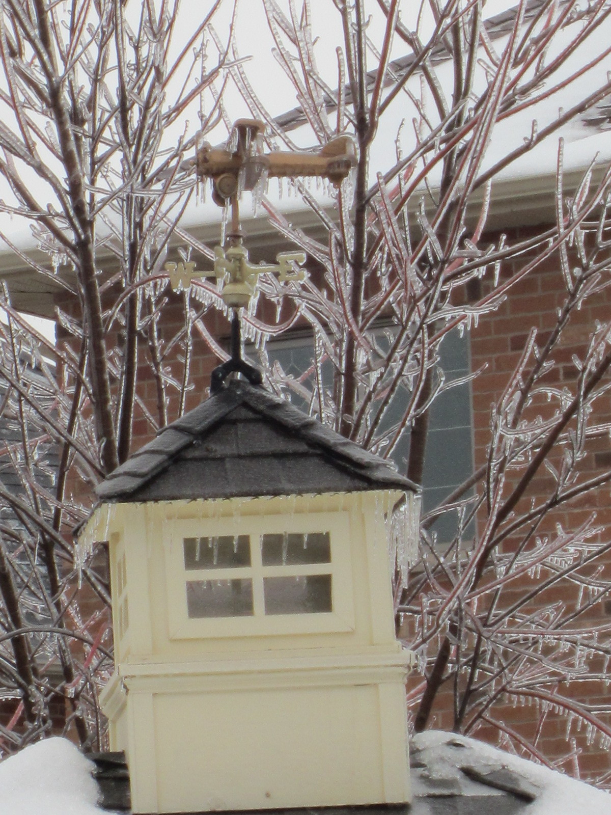 My two careers (flying and meteorology) unified by an airplane weather vane.