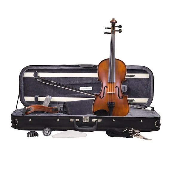 10 Best Violins for Beginners: A Violin Teacher's Ultimate Guide to ...