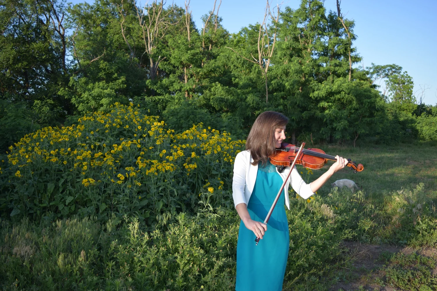 Can You Teach Yourself to Play Violin? Yes, Here's 3 Reasons Why