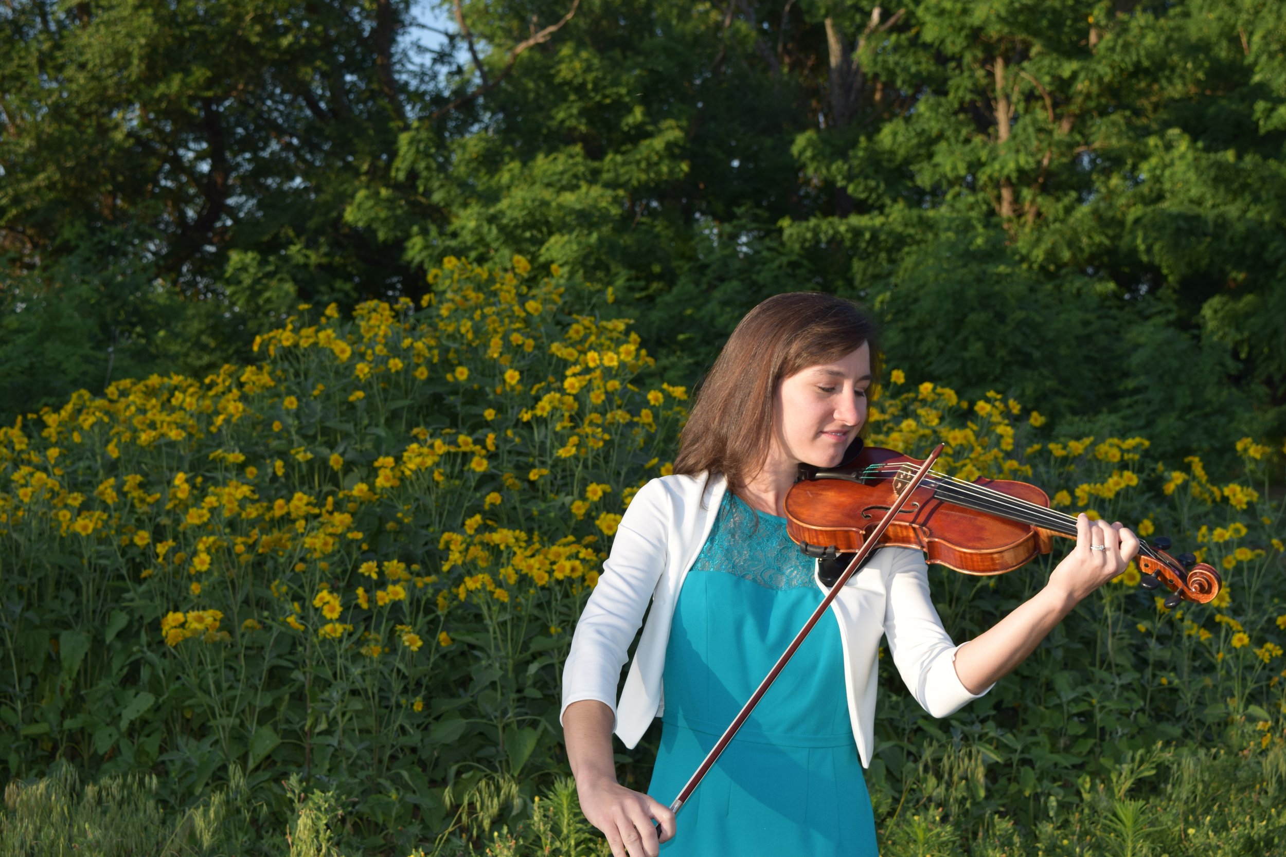 Learn to Play in 20 Steps Meadowlark Violin Studio