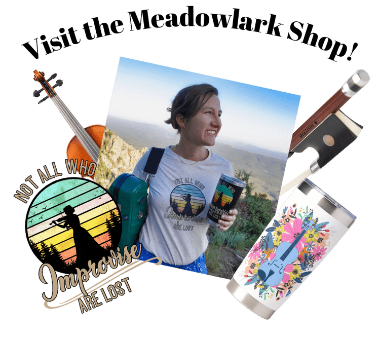 Online Violin Lessons — Meadowlark Violin Studio