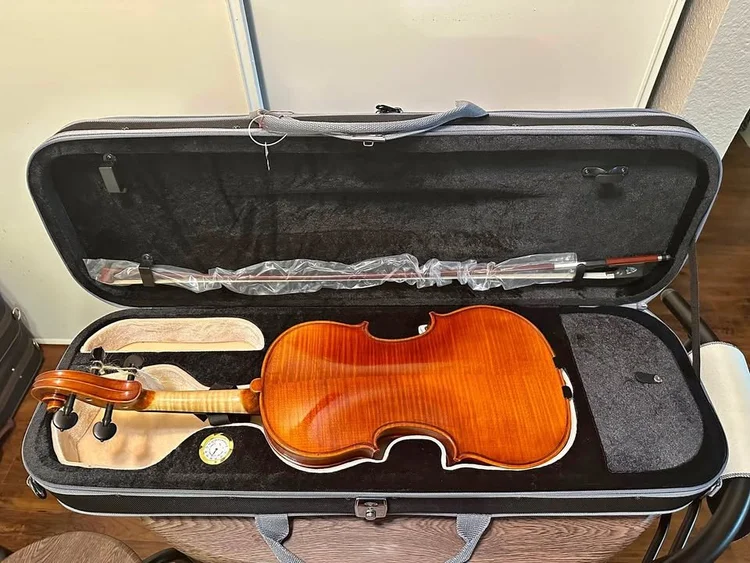 How to Care for Your Violin: Ultimate Guide to Violin Maintenance ...