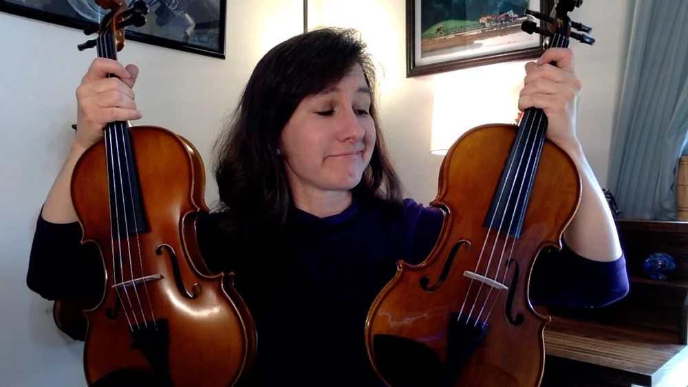 Learn to Play Violin in 20 Steps — Meadowlark Violin Studio