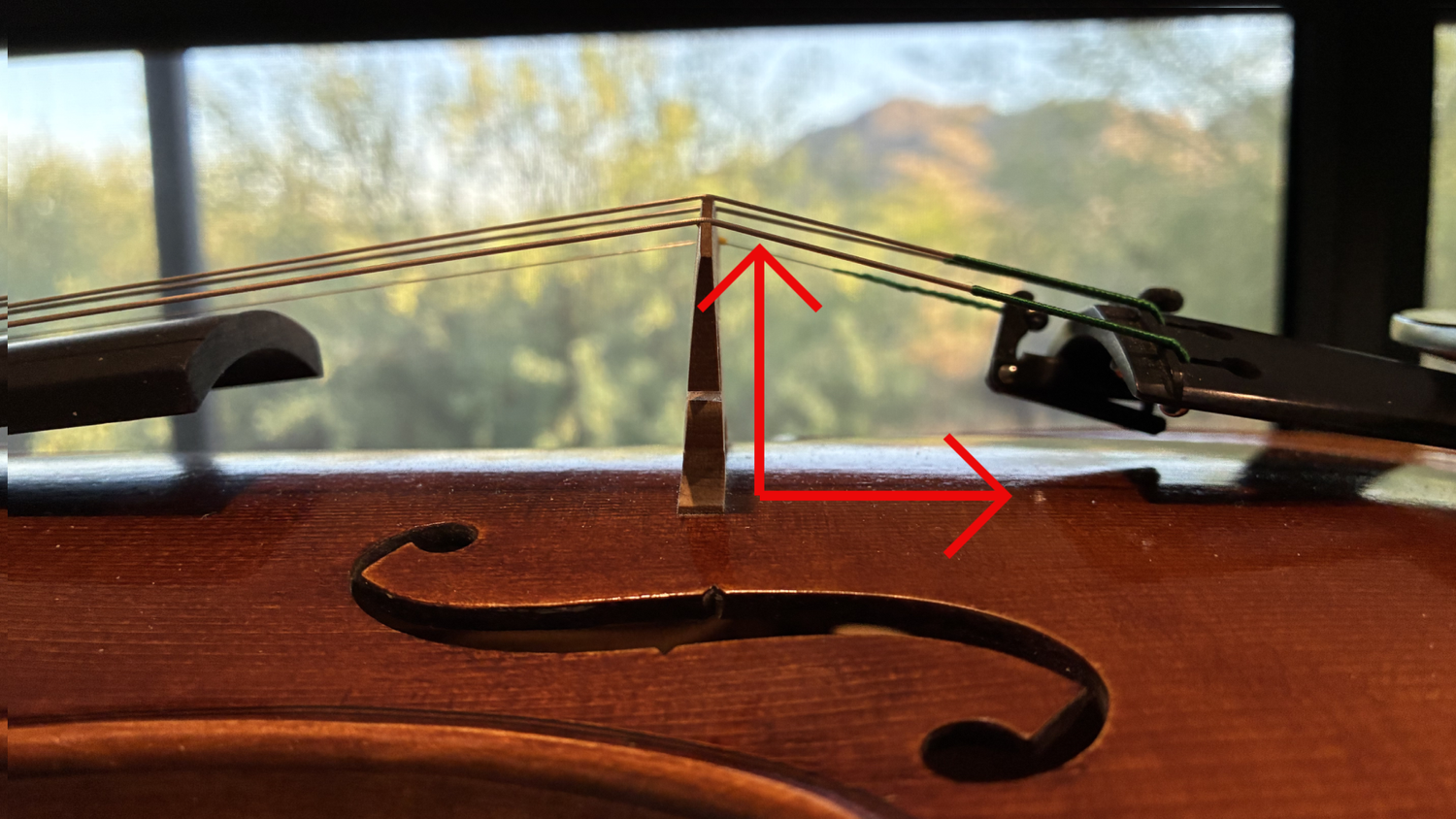 How to Change Violin Strings: A Step-by-Step Guide for Beginners ...