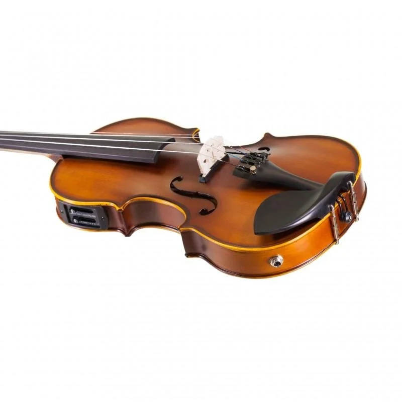 Can I Learn Violin on an Electric Violin? — Meadowlark Violin Studio