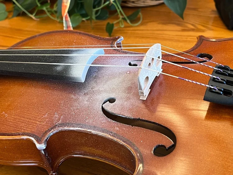 How to Care for Your Violin: Ultimate Guide to Violin Maintenance ...