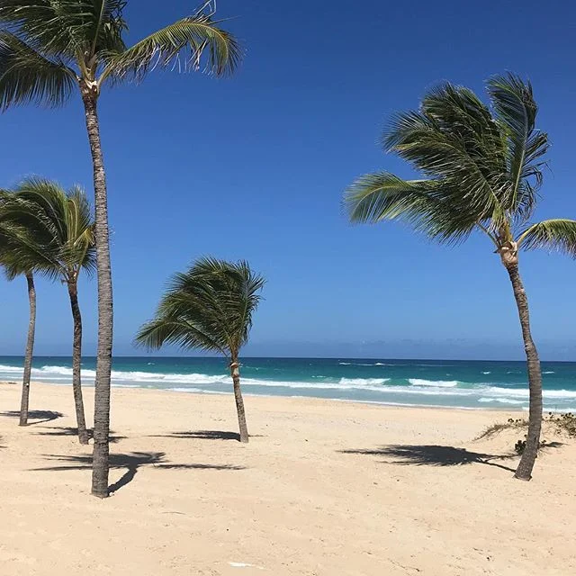A peaceful easy feeling!