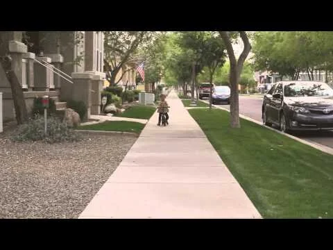 Freeride Bike Co- Balance Bike Demo
