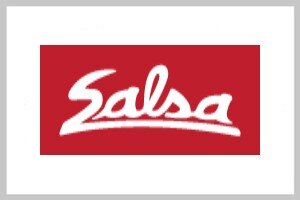 Salsa Logo.jpg