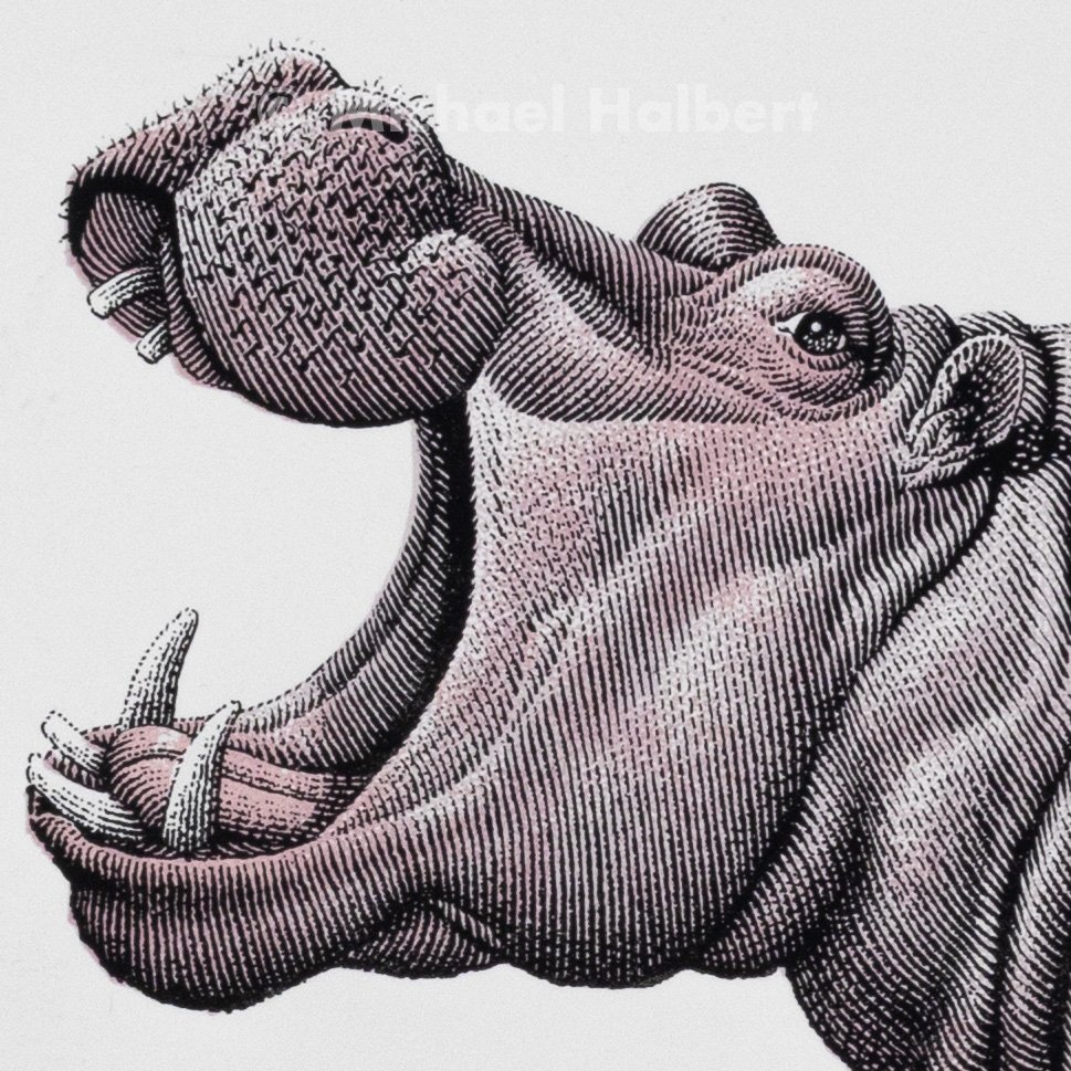 3-Color Screen Print of a hippopotamus. Printed on 30 x 22 inch