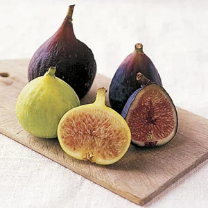 figs.jpg
