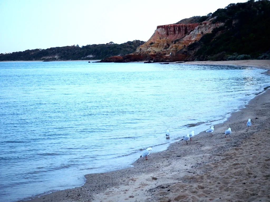 easy-ways-to-live-more-sustainably-eco-living-tips-save-the-sea.jpg