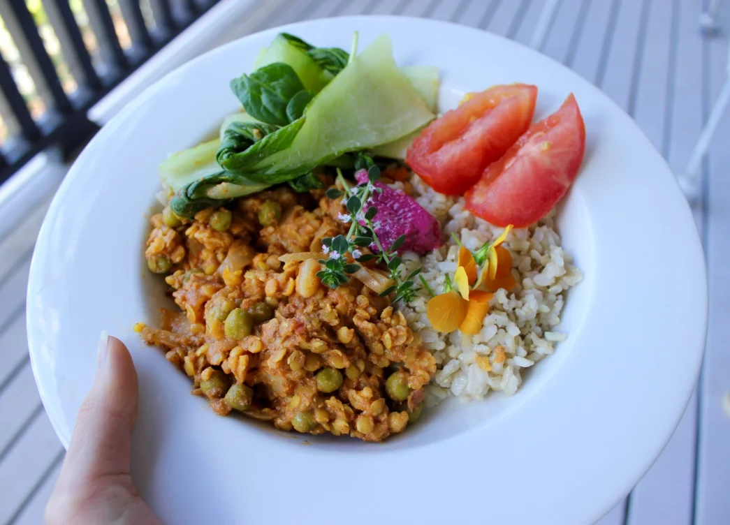eco-friendly-sustainable-living-tips-eat-more-planets-vegan-diet.jpg