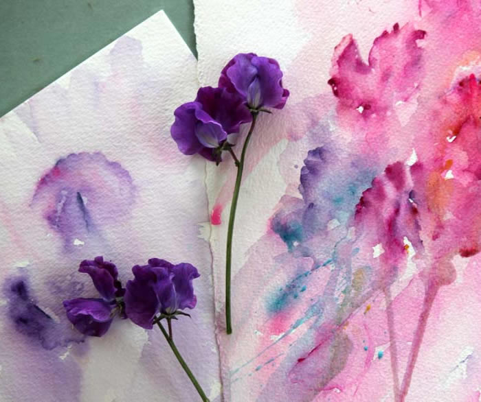 SweetPea watercolour pink purple.jpg