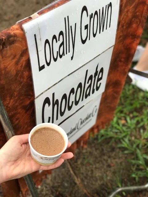 Vegan dairy-free and gluten-free chocolate ice cream in Port Douglas, Queensland.