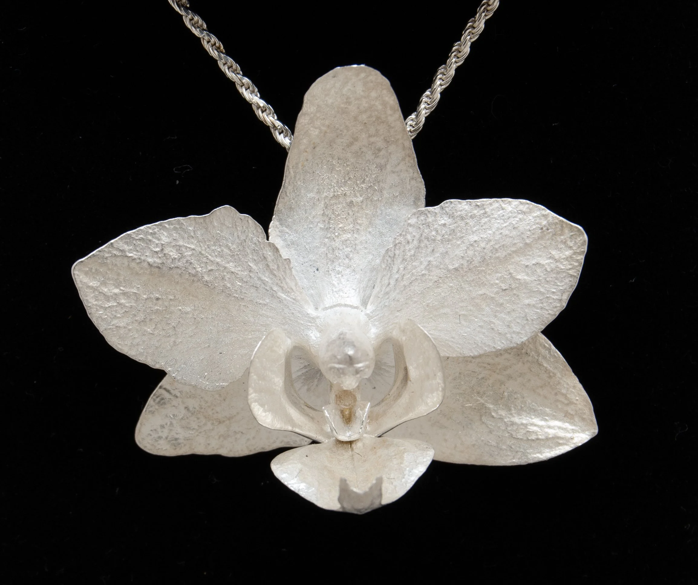 Phalenopsis #1