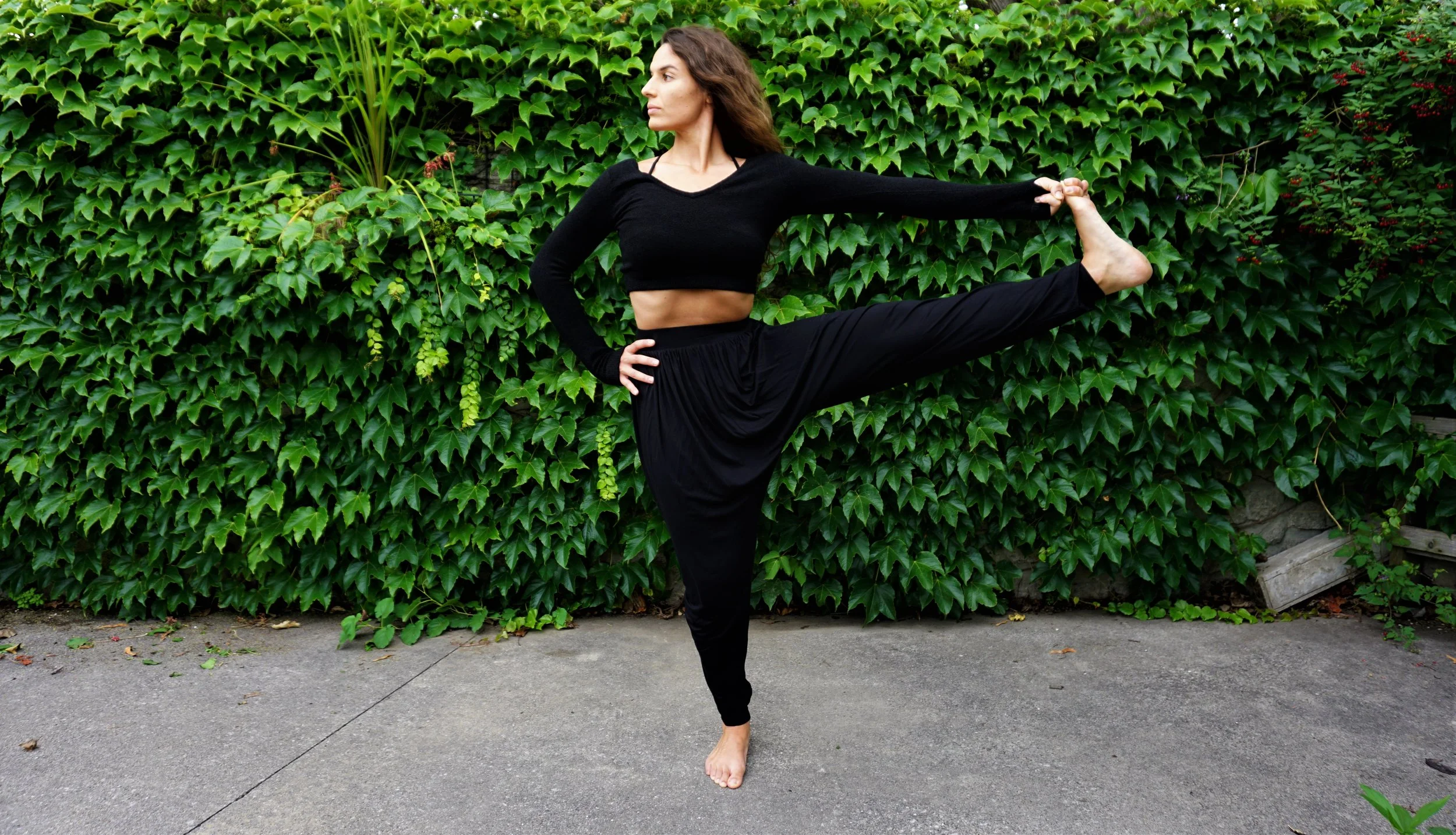 YOGA WELLNESS SHOW - TORONTO