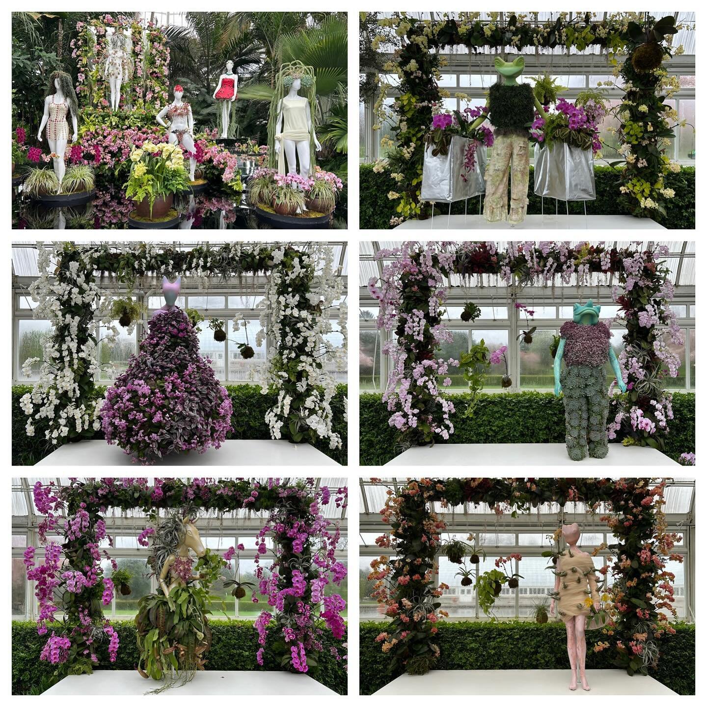 Some highlights from this year&rsquo;s Orchid Show at the NYBG. The theme was Florals in Fashion.