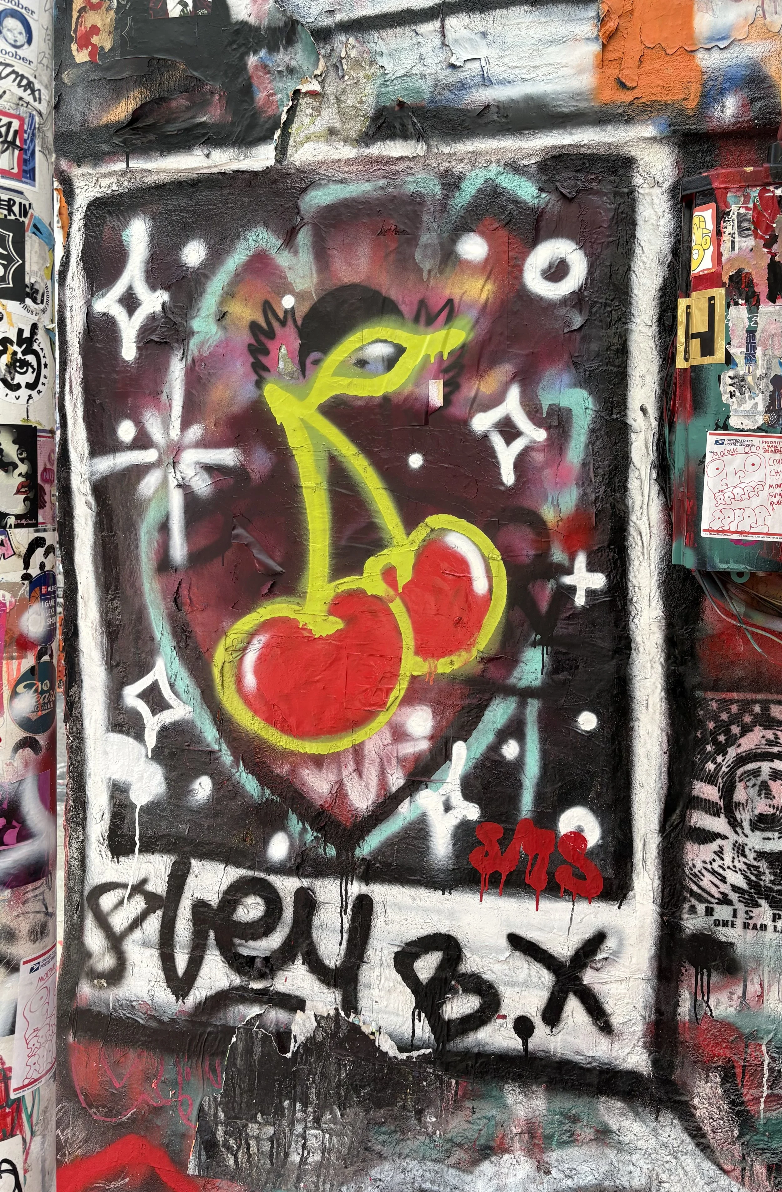 IMG_2310.jpeg