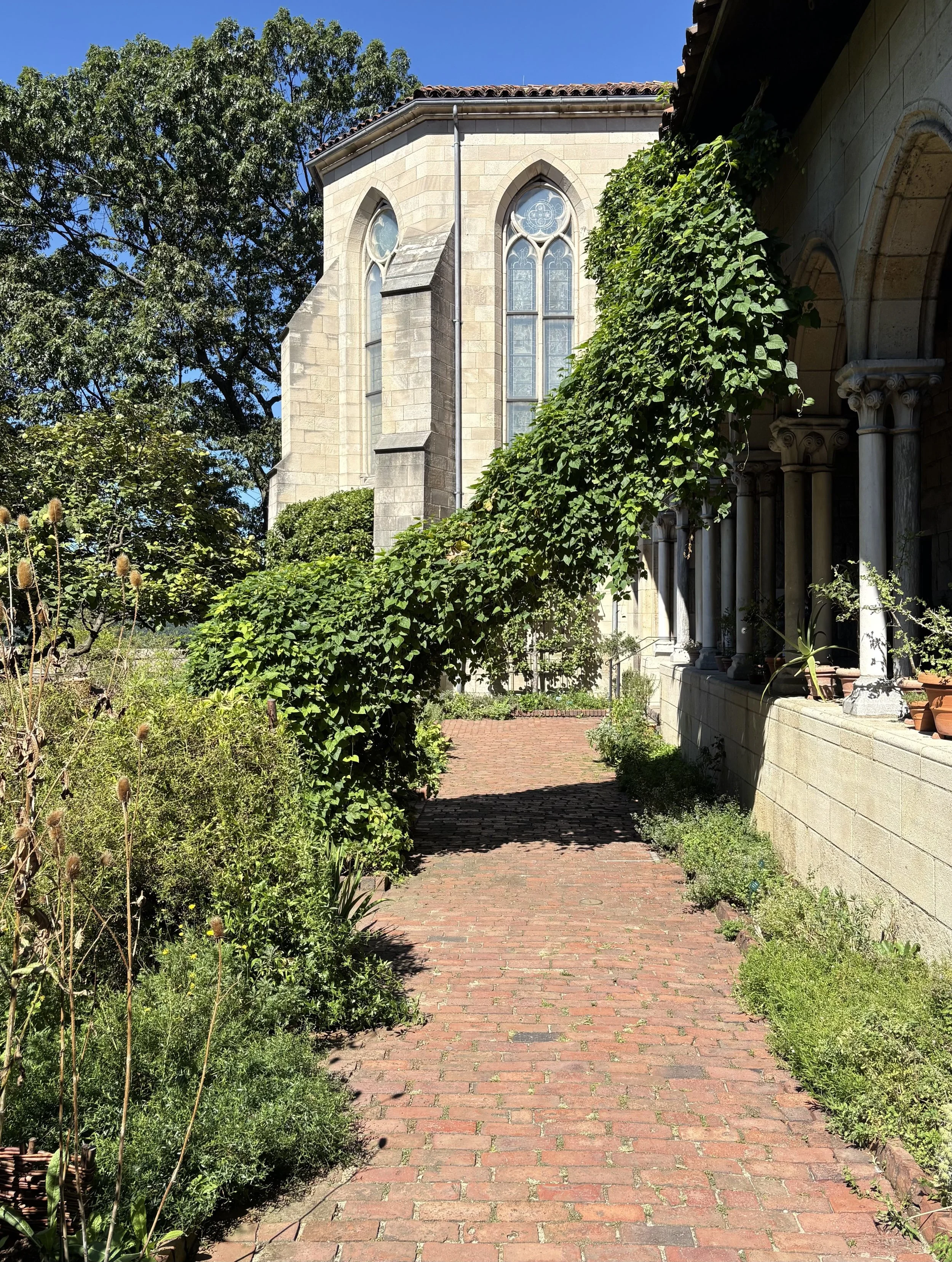 IMG_5268.jpeg