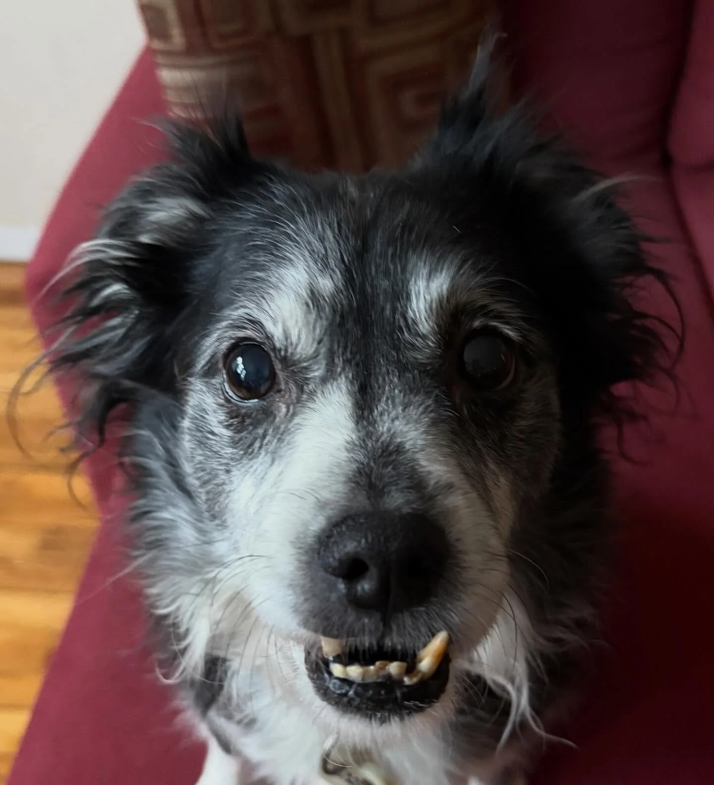 When you wake up to your very own Ghostface.

Calling the killer of &ldquo;Scream 8&rdquo; from now!!!