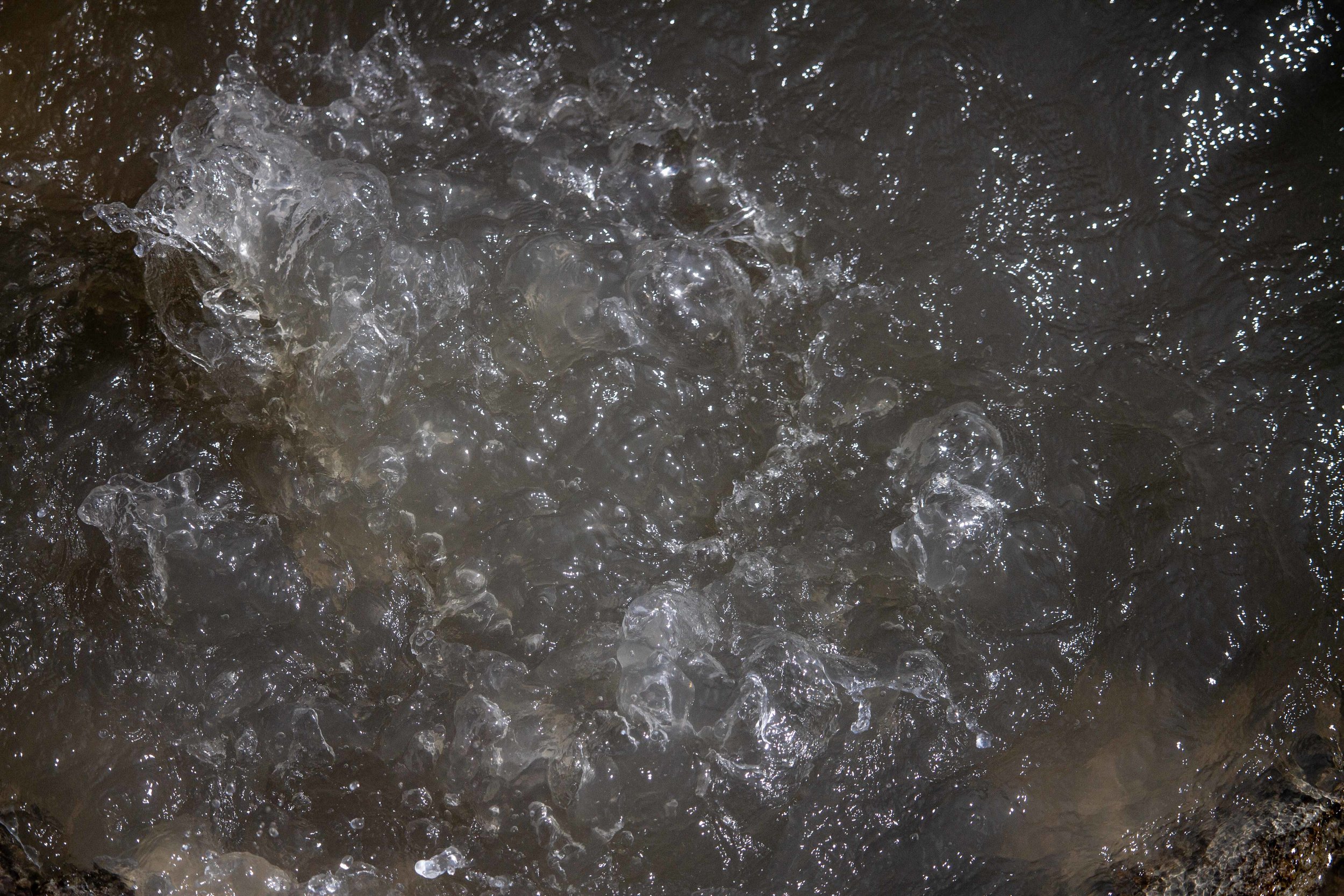 Water and gas bubble to the surface at West Thumb Geyser Basin.