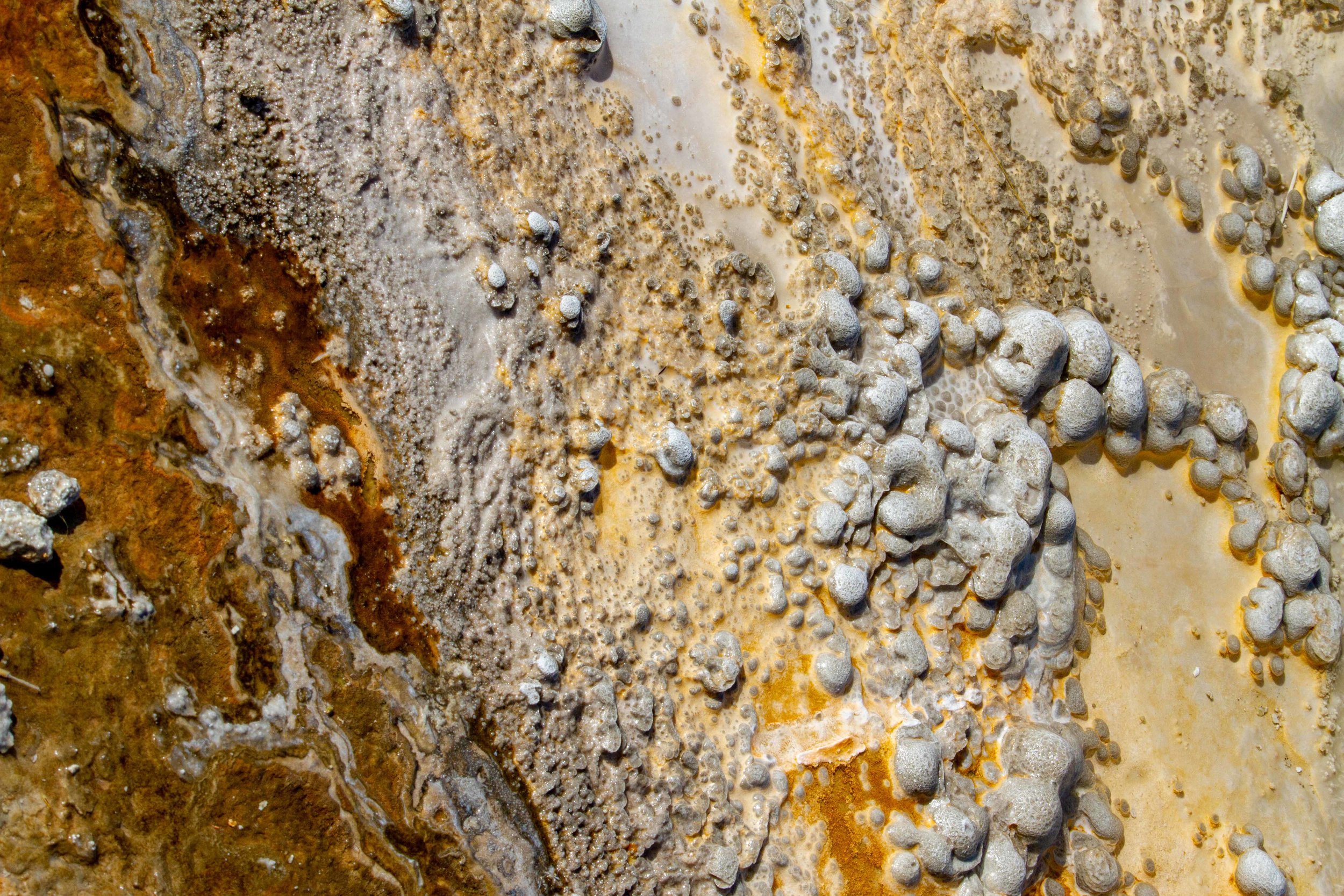  Minerals, debris, and microbial creatures combine to make fascinating shapes in thermal features. 