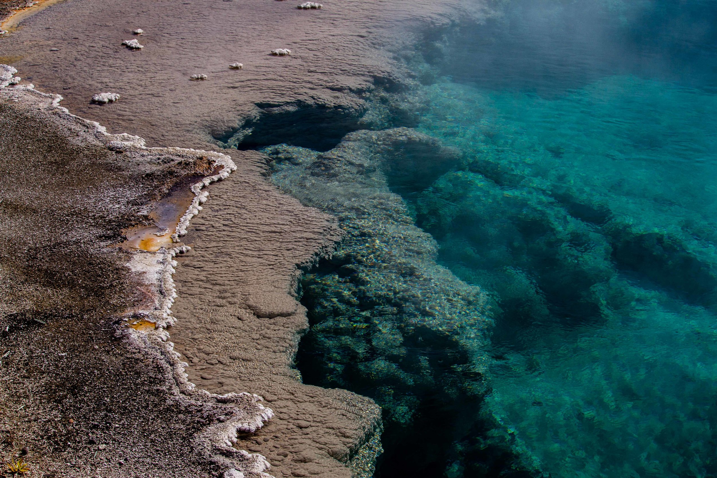 Colors in hot springs are caused by thermophiles; different creatures can tolerate different temperatures, creating color gradients.