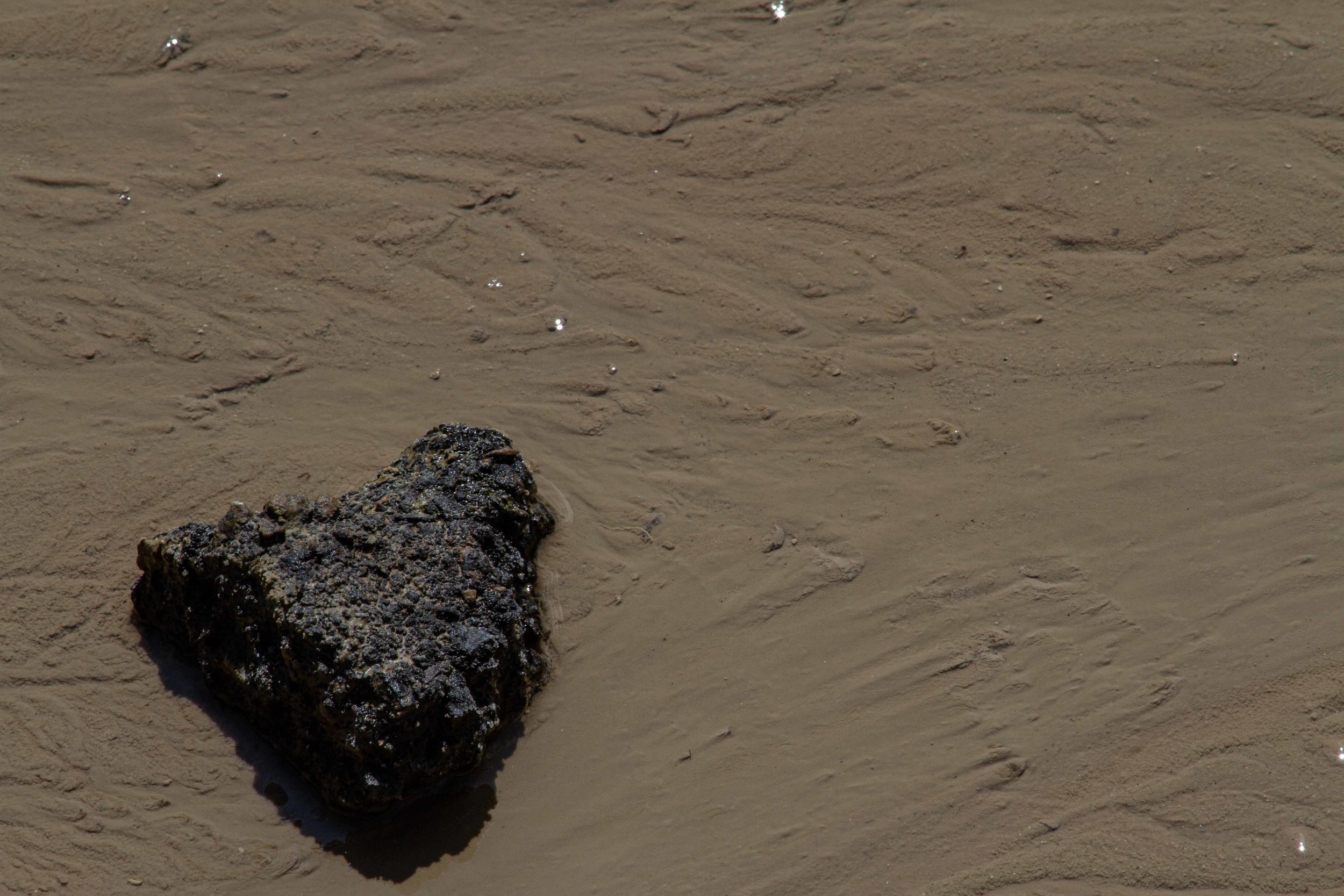  Erosional patterns can be seen in mud features around Yellowstone. 