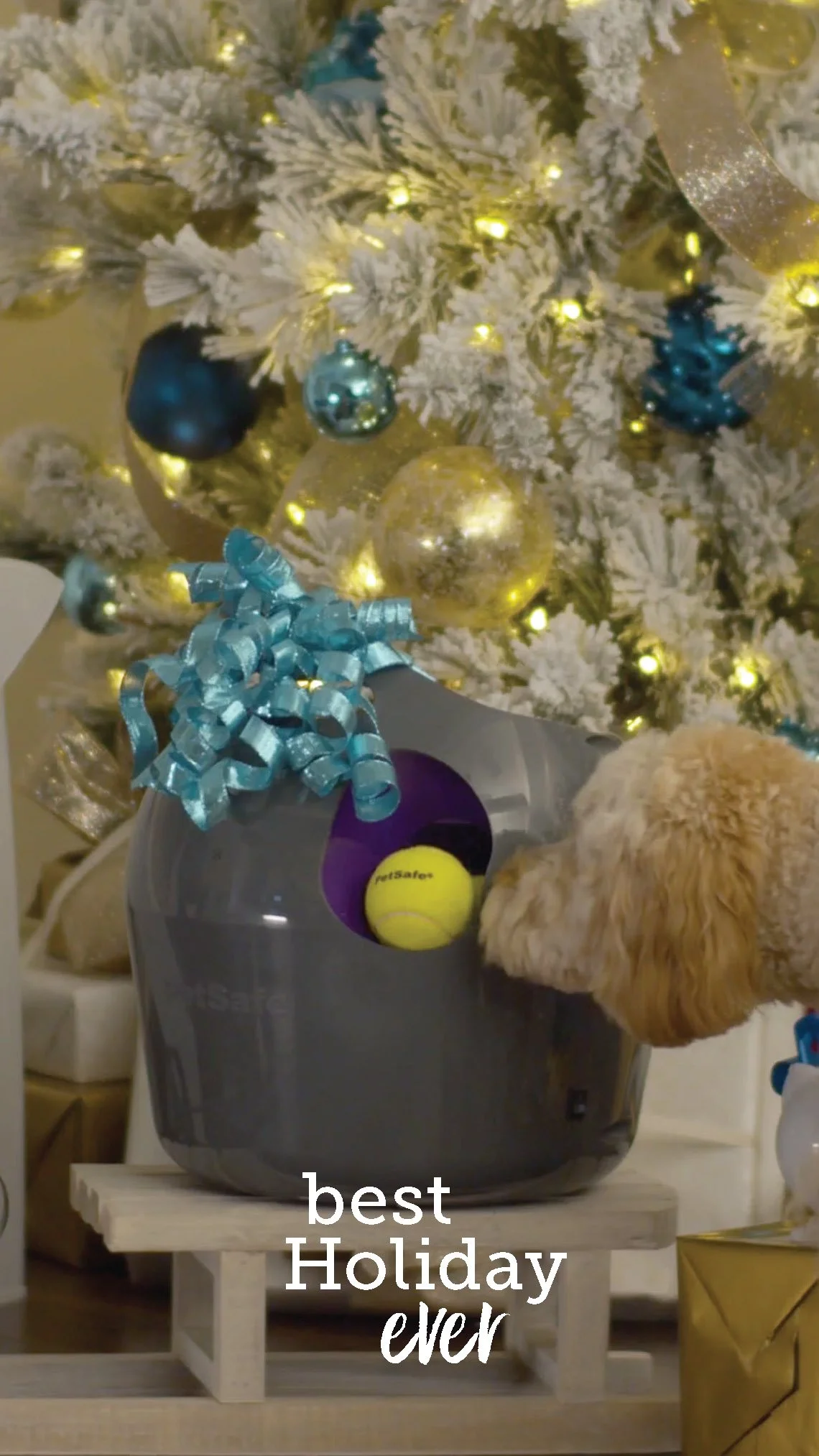 PS_Holiday_Campaign_TextVideo_Update_7sec_Page_2.jpg