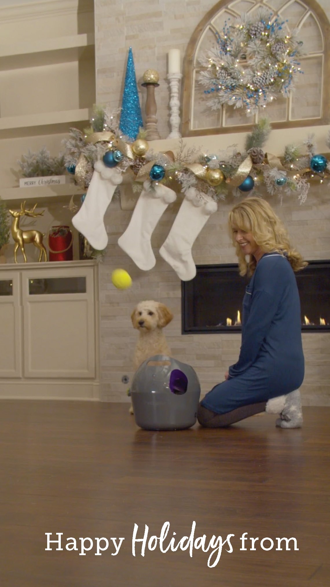 PS_Holiday_Campaign_TextVideo_Update_7sec_Page_4.jpg
