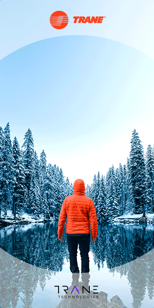 TRN_DC_DemandBase_Forest_300x600.gif