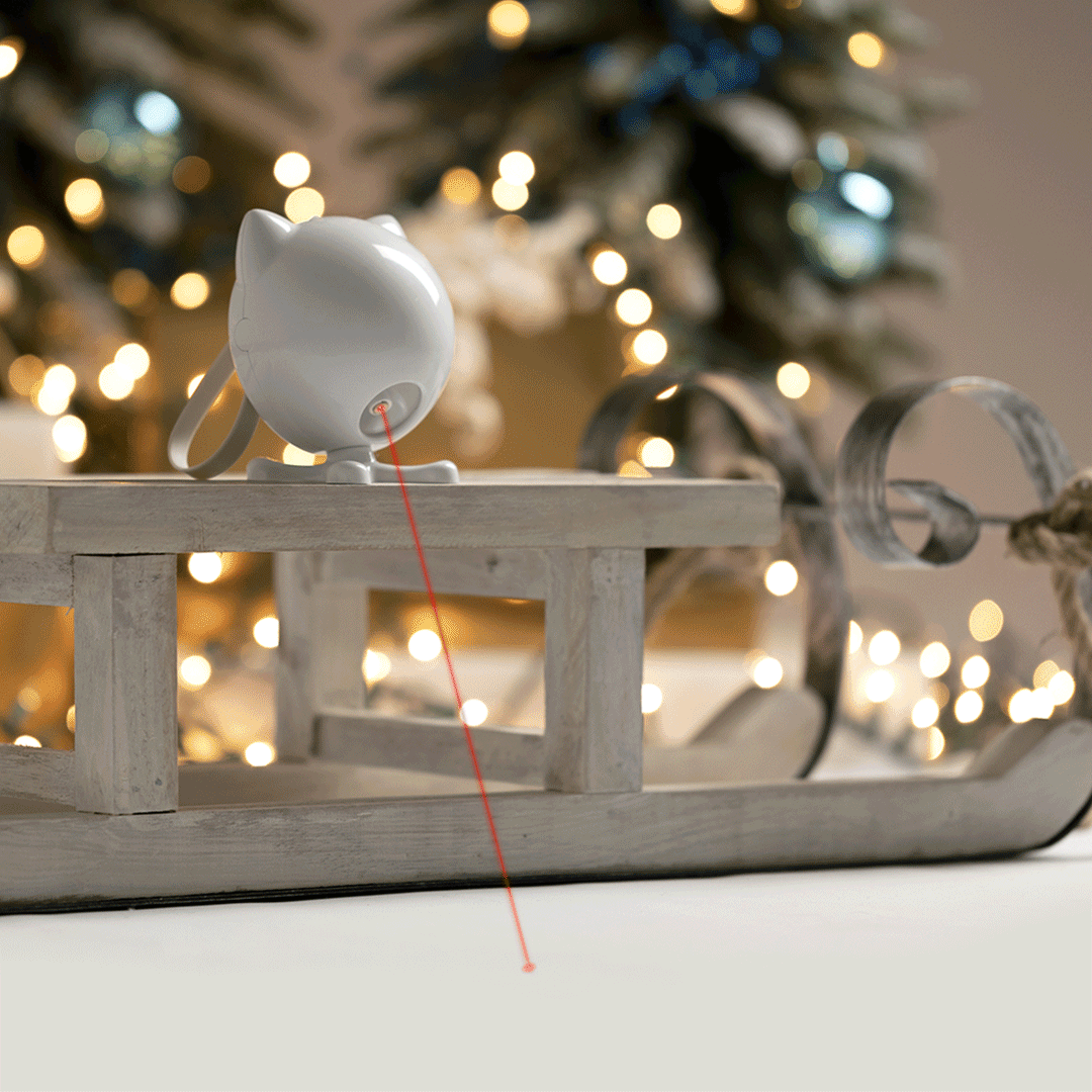 PS_Holiday-Campaign-Animated-Product-GIFs_1080x1080_Cat_Toy_v1.gif