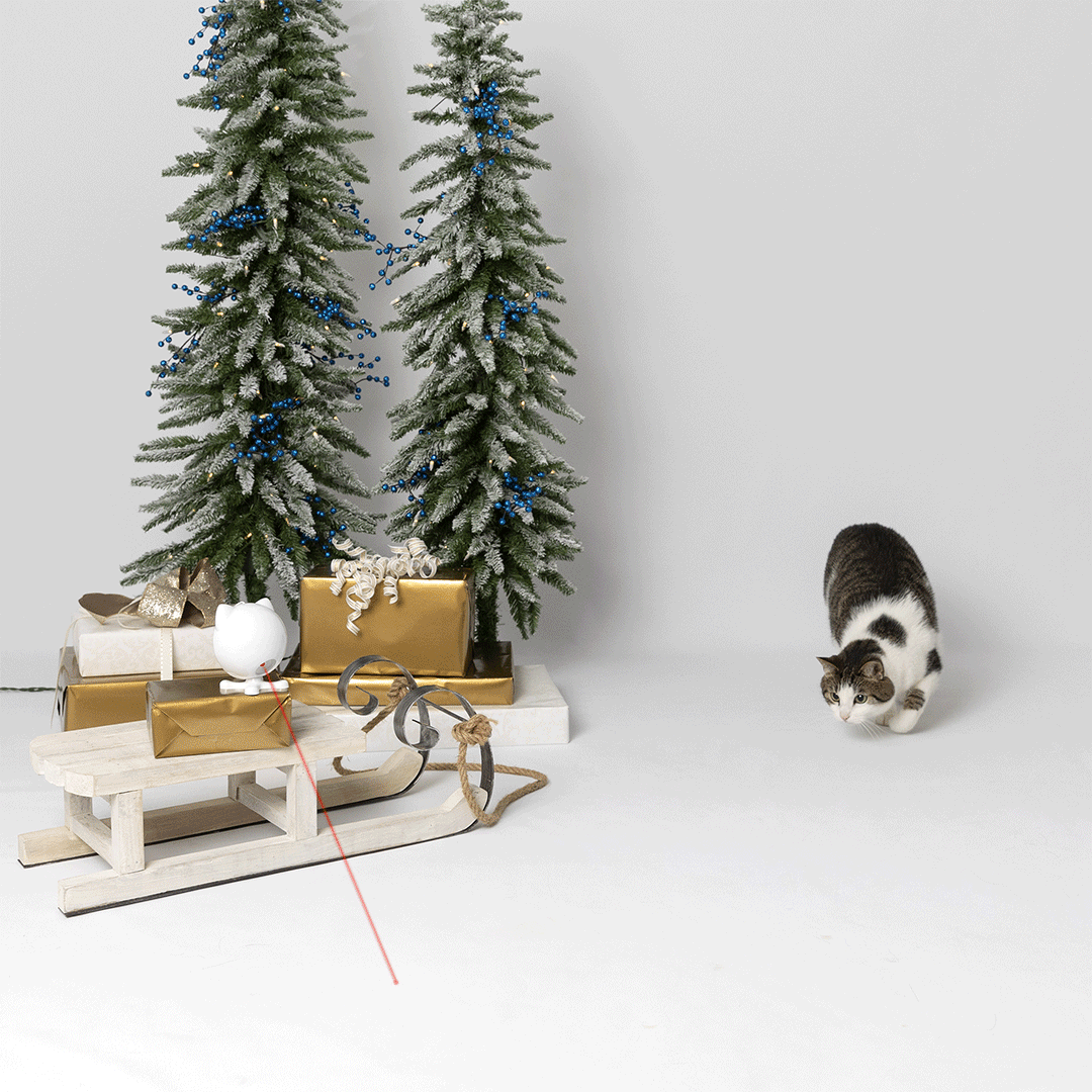PS_Holiday-Campaign-Animated-Product-GIFs_1080x1080_Cat_Toy_v2.gif