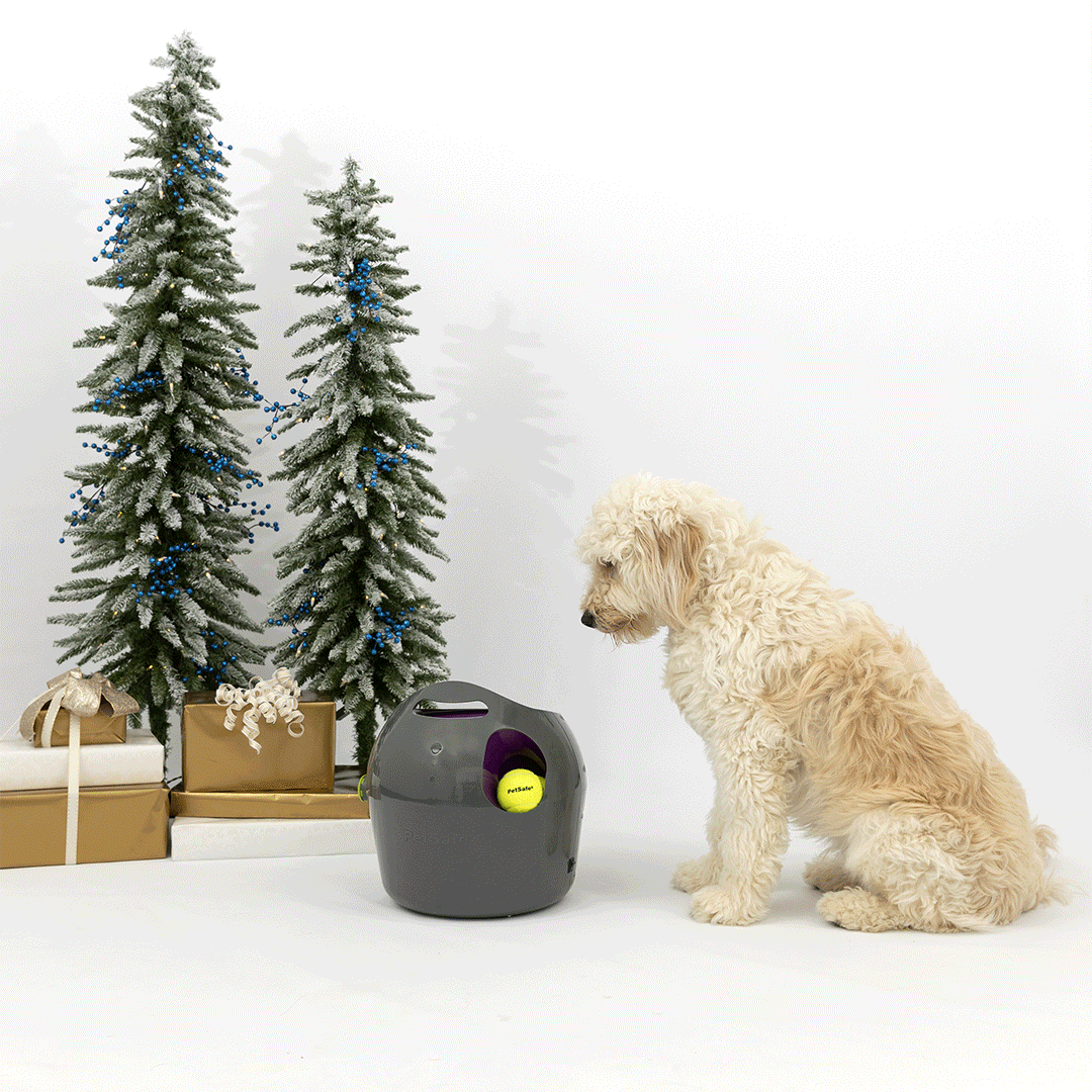 PS_Holiday-Campaign-Animated-Product-GIFs_1080x1080_Dog_Toy_v2.gif