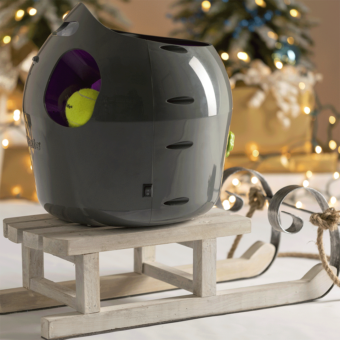 PS_Holiday-Campaign-Animated-Product-GIFs_1080x1080_Dog_Toy_v1.gif