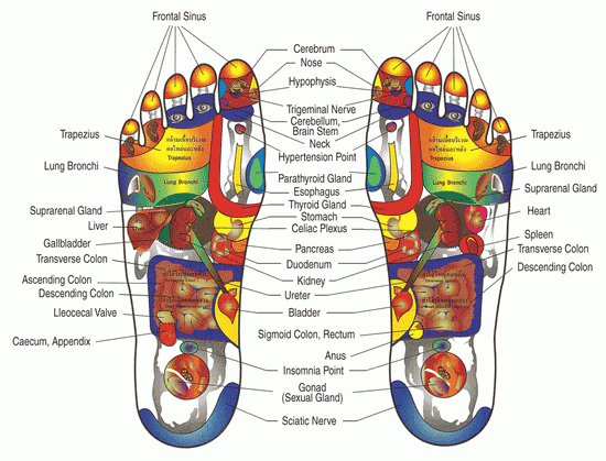 foot_reflexology_002.gif