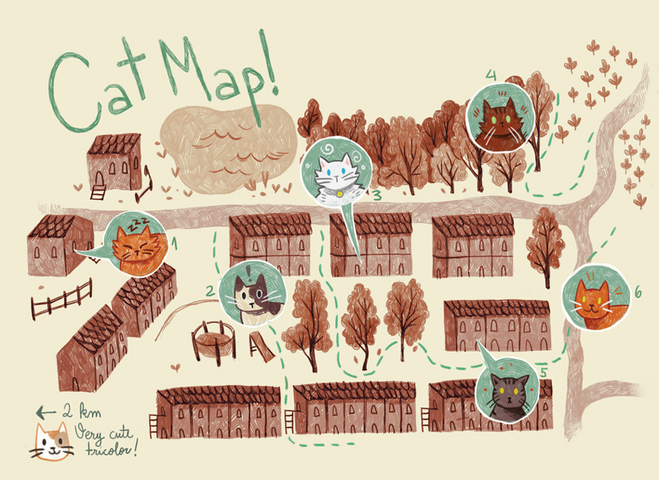 Cat Map