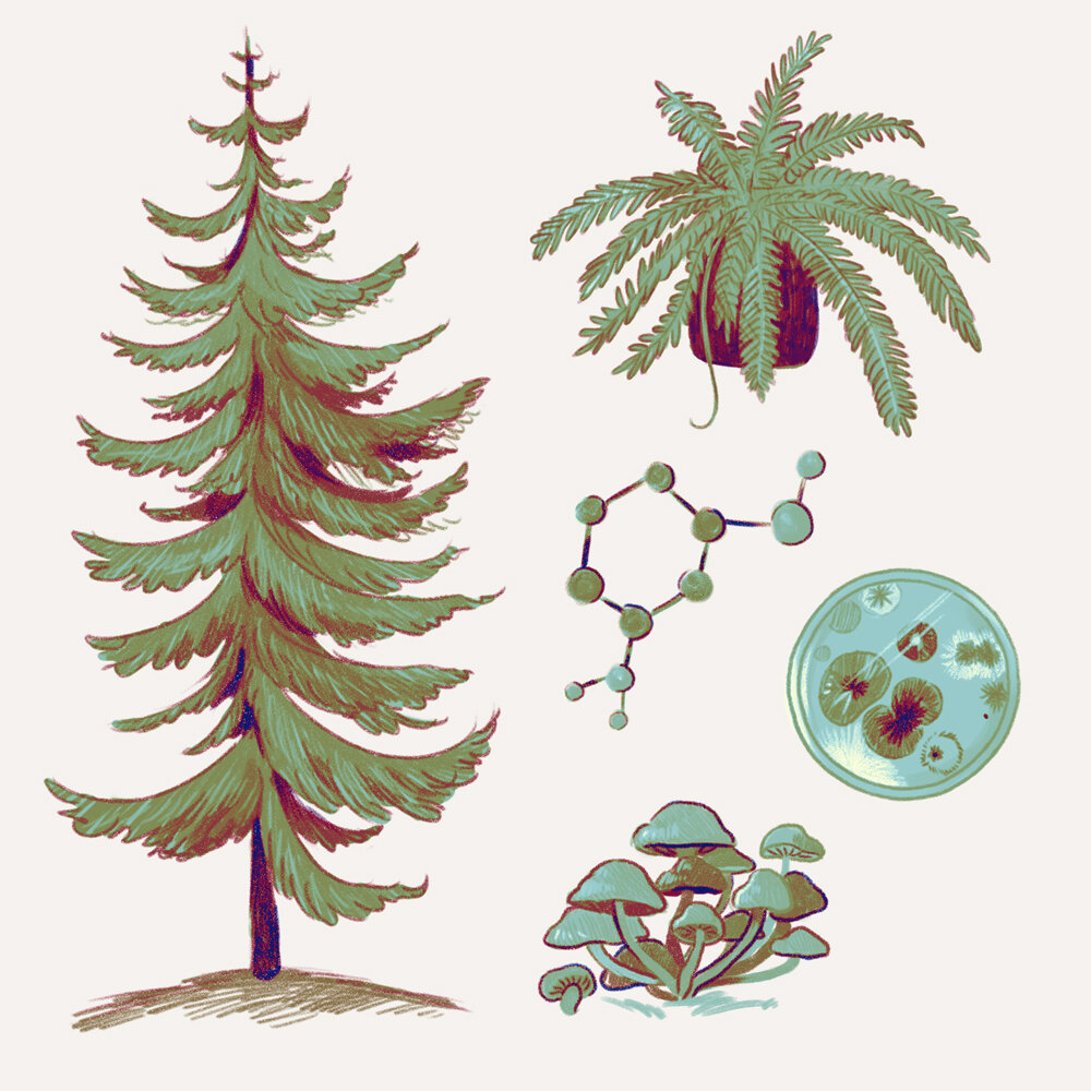 Forest Icons