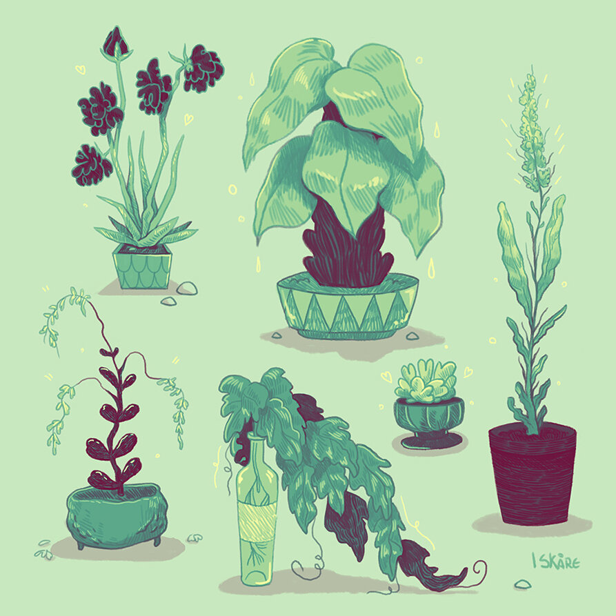 Plants - a collection