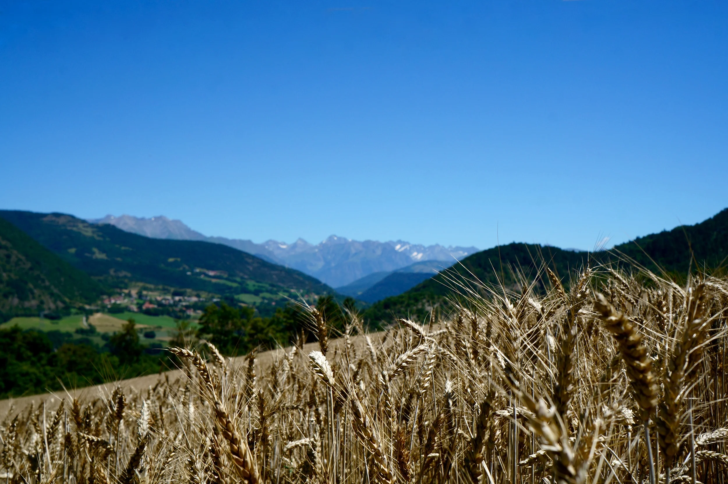 South of France 2013