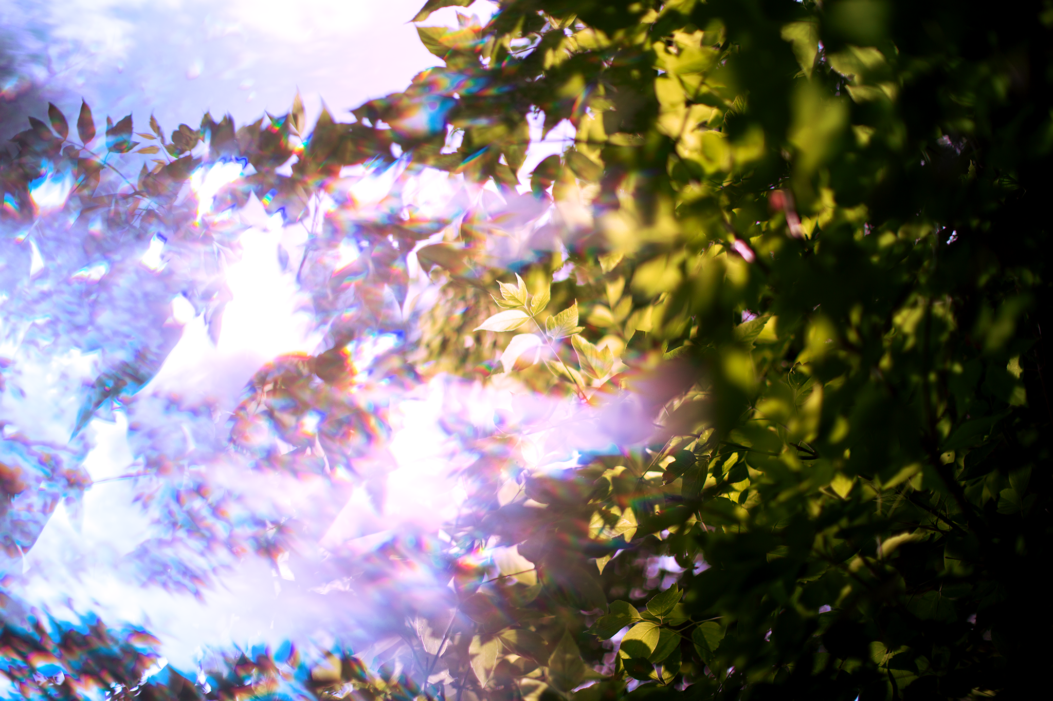 IMG_5866.png