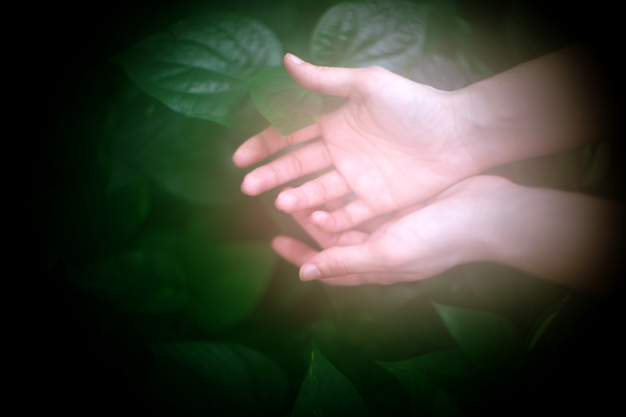 IMG_9938.png