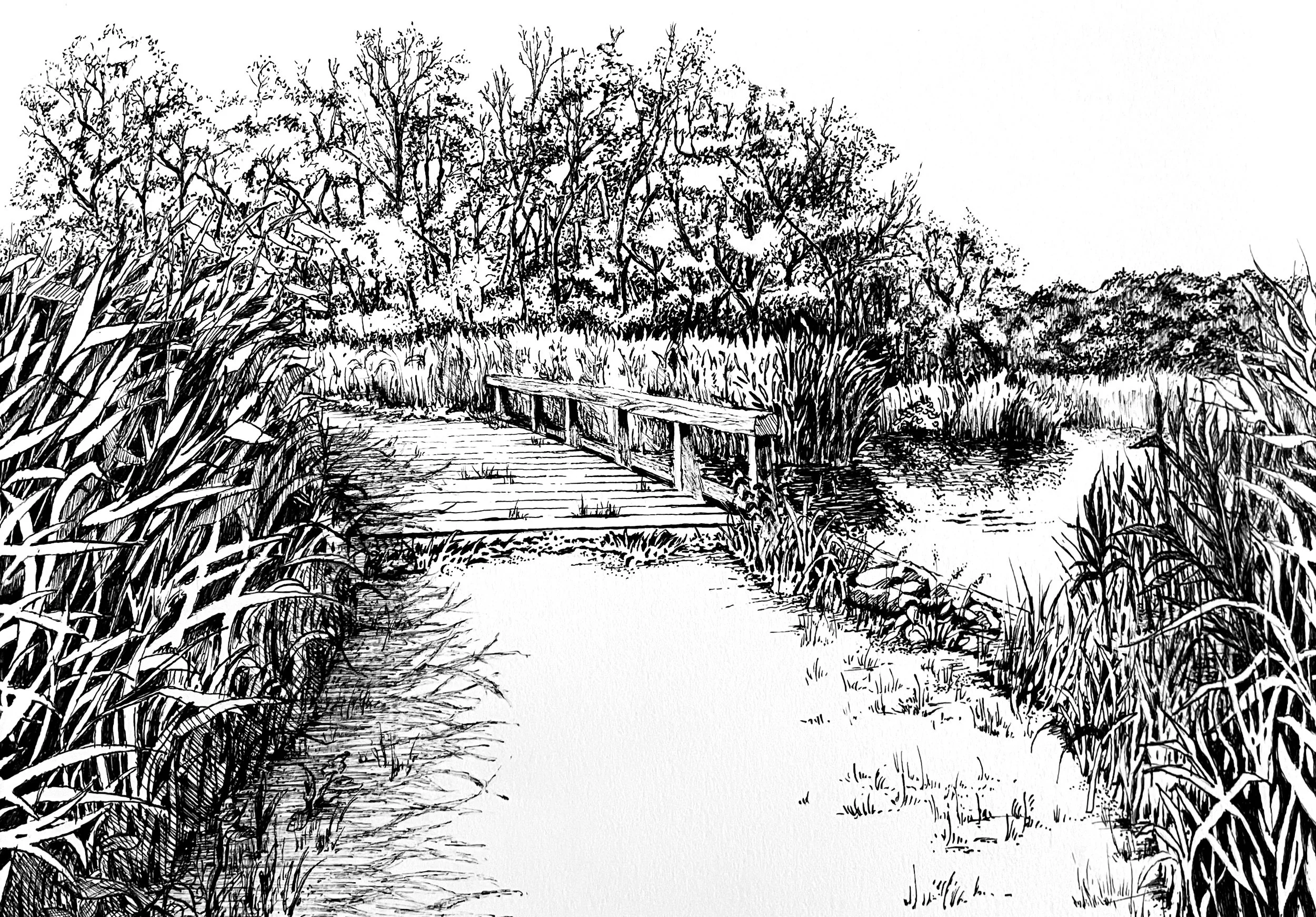 AMSTERDAMSE+BOS+TRAIL+1.jpg