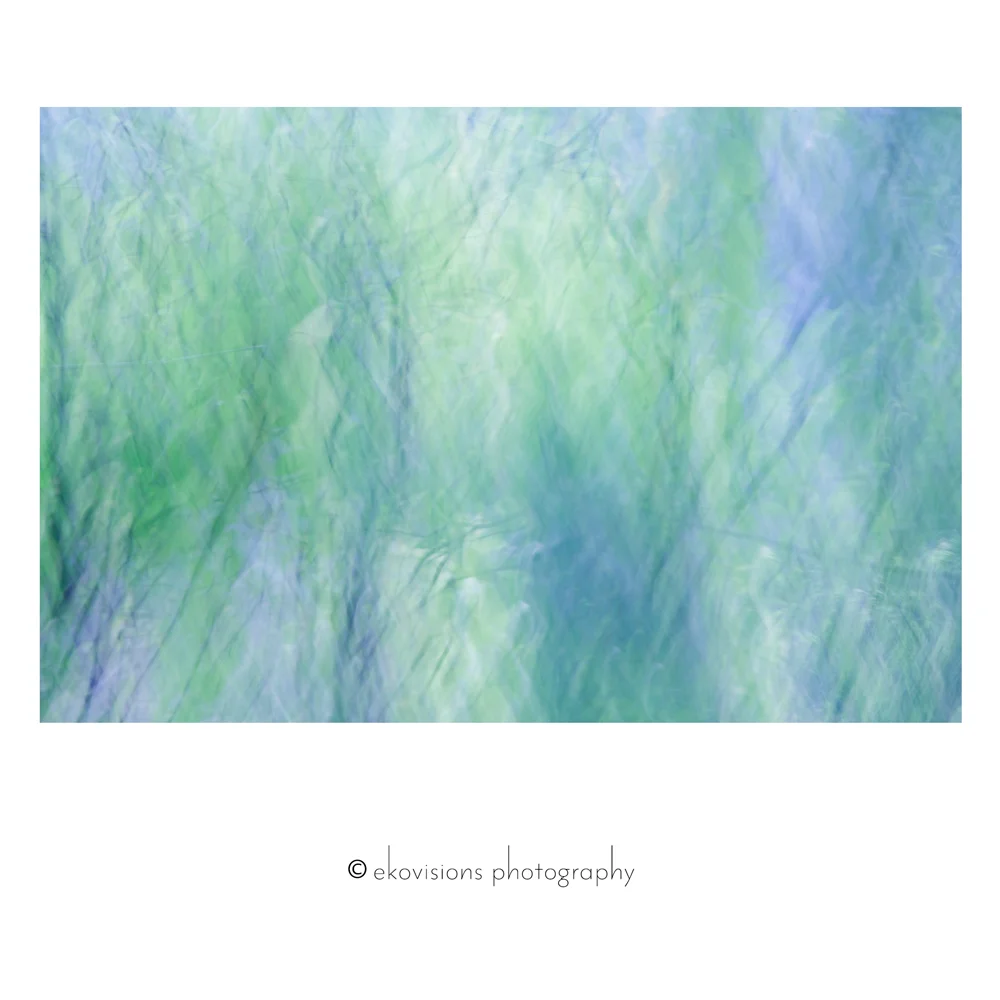 Entwine