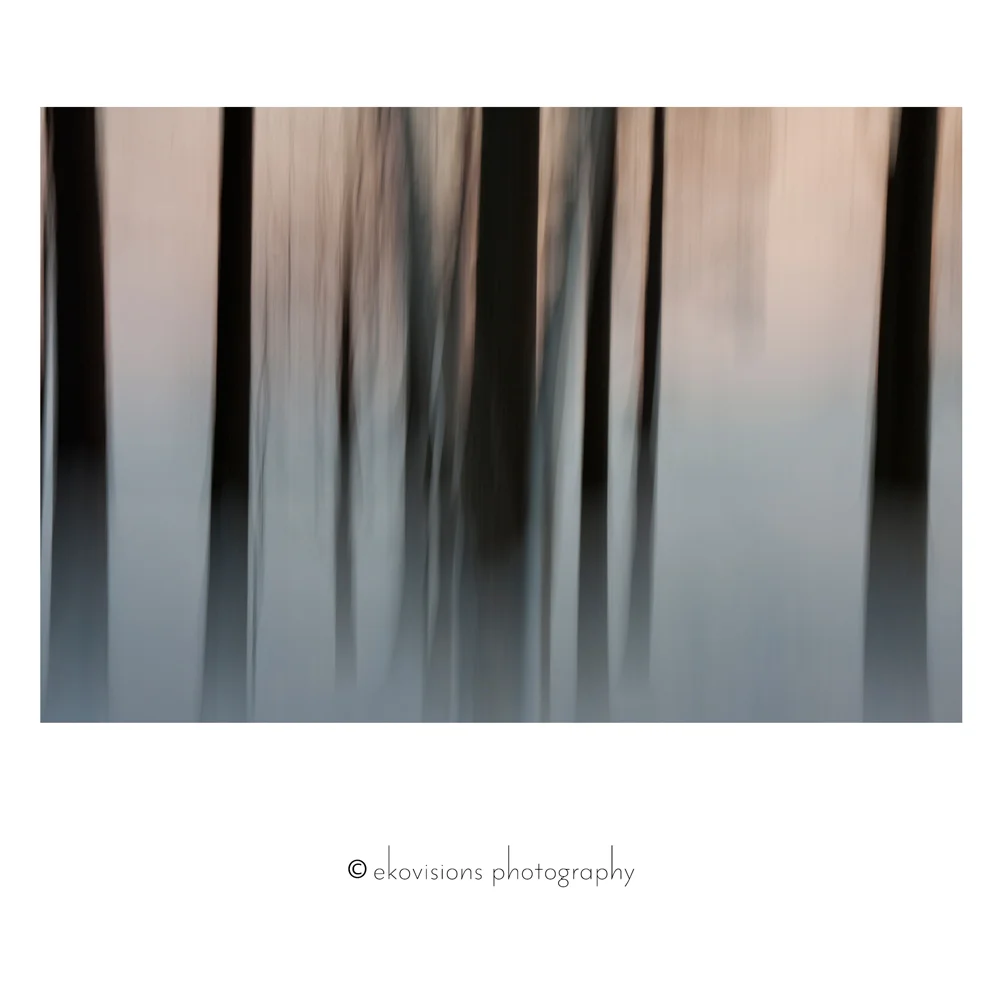 Shadows