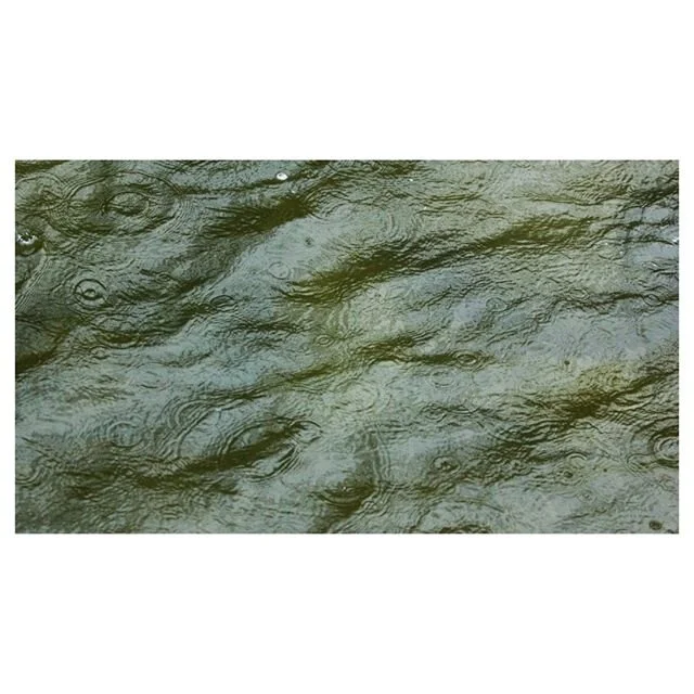 Does water get wet when it rains?