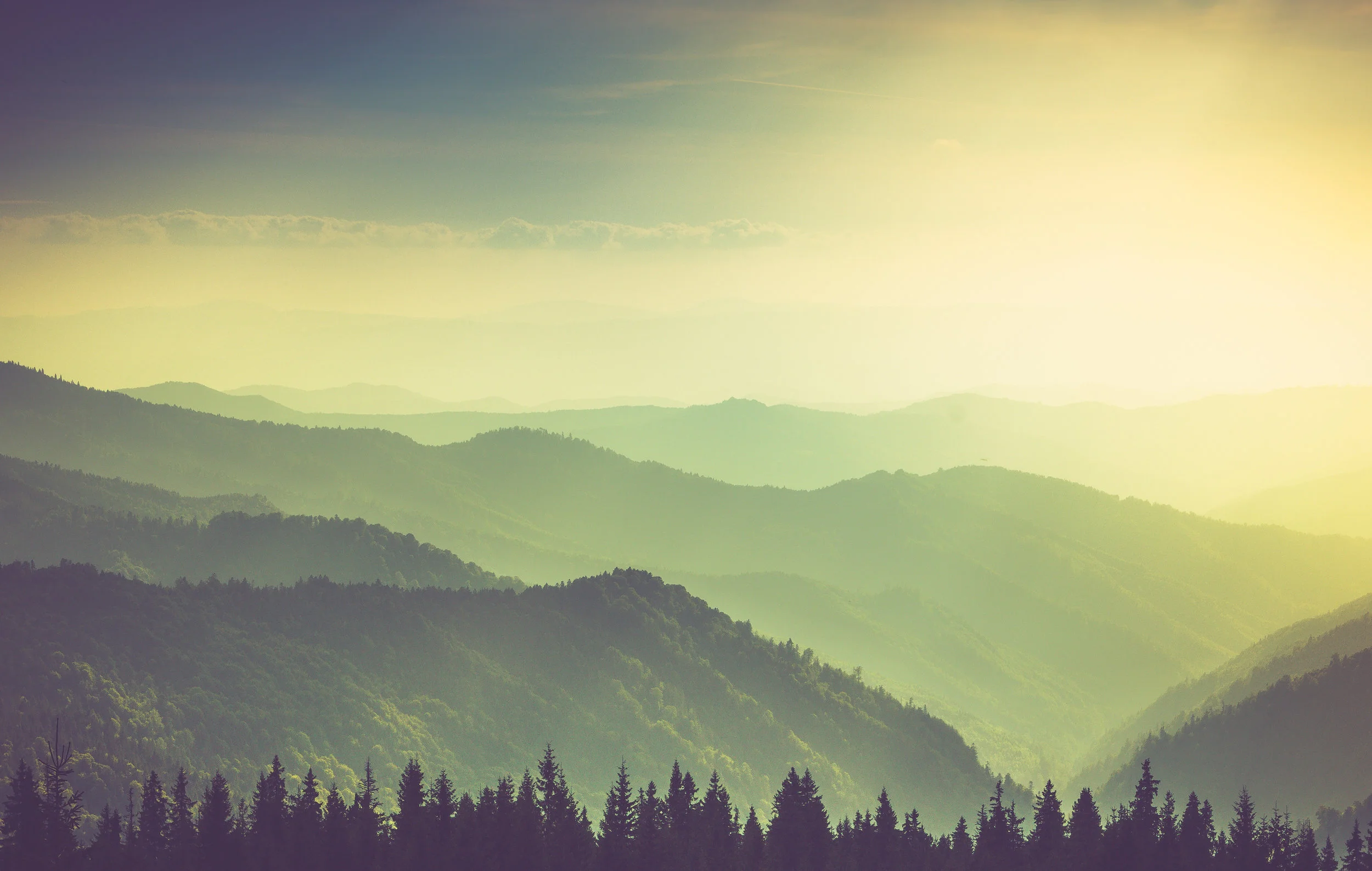 What is an Education?