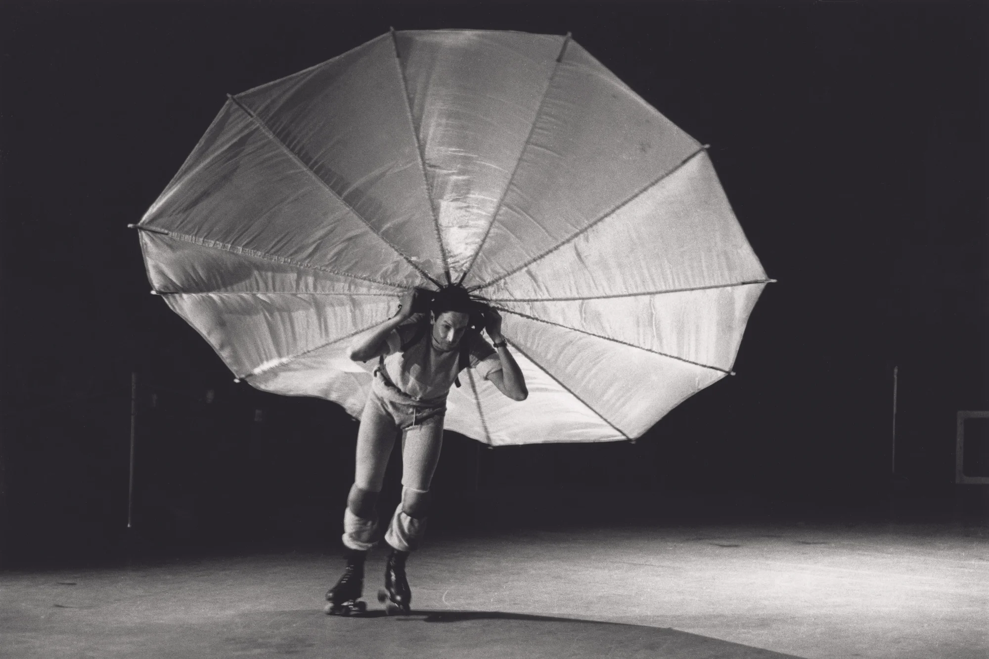 Robert Rauschenberg, Pelican, 1963.