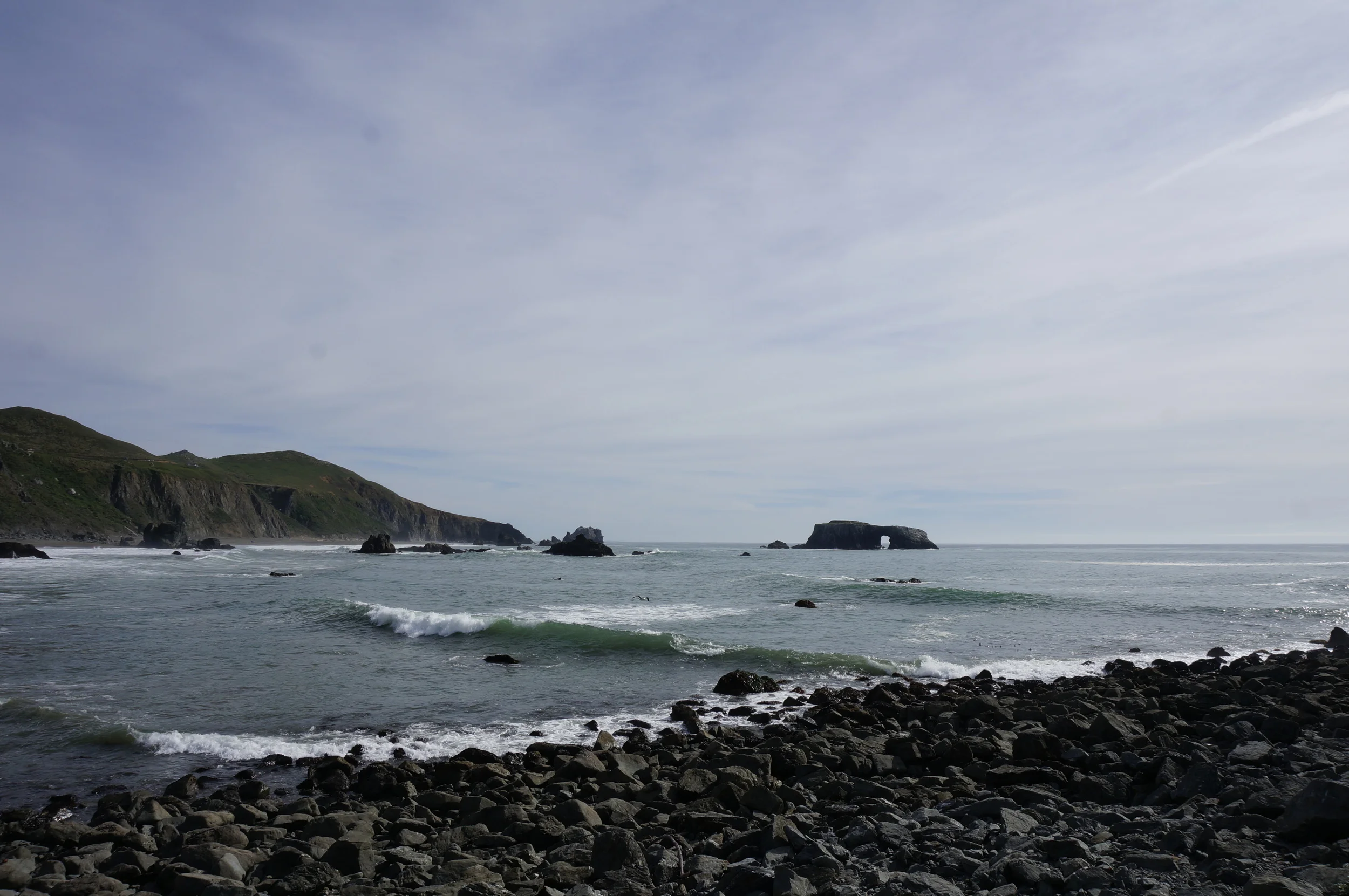 _DSC3923.JPG
